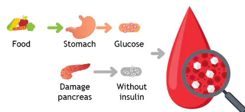 Plantilla de desintoxicación corporal reductora de glucosa en sangre ANLOMAR™