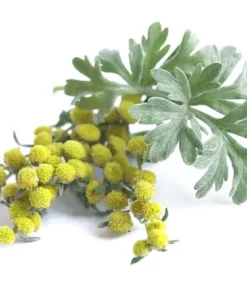 ANLOMARE™ Detox Footbeds for Reducing Blood Sugar