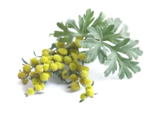 ANLOMARE™ Detox Footbeds for Reducing Blood Sugar