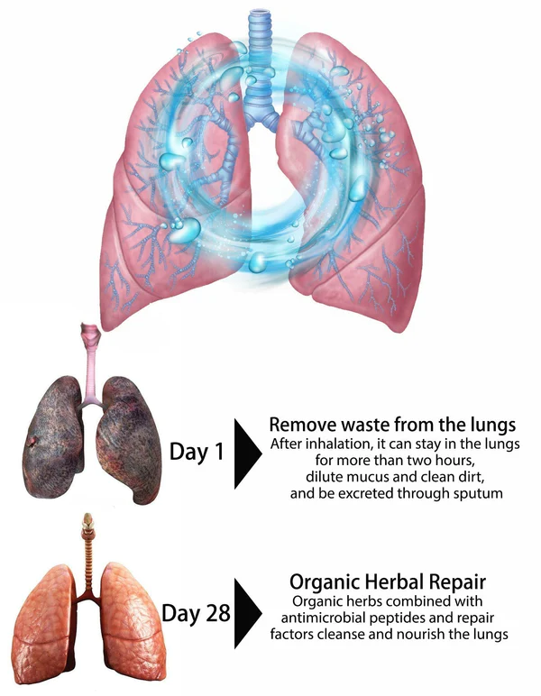 Clear Revive® Organic Herbal Lung Cleanse & Repair nosní sprej PRO