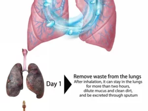 Clear Revive® Organic Herbal Lung Cleanse & Repair Nasal Spray PRO