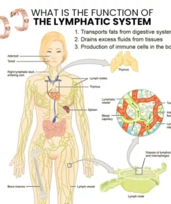 Dorina EarAcupressure Magnetherapy Detoxi Earrings-Love