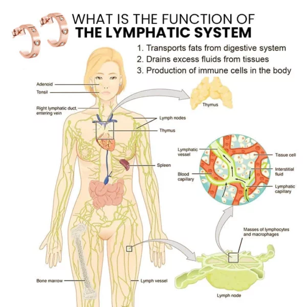 Dorina EarAcupressure Magnettherapie Detoxi Ohrringe-Love