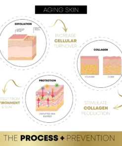 FaceSculpting Korean Protein ThreadLifting Set