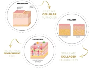 FaceSculpting Korean Protein ThreadLifting Set