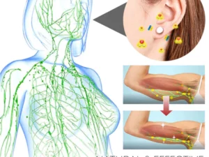 HealBio® Titanium Lymphvity MagneTherapy EarStuds