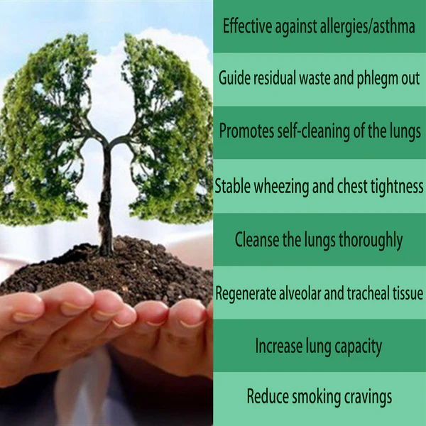 Aerosol de limpieza pulmonar a base de hierbas orgánicas LungCare®