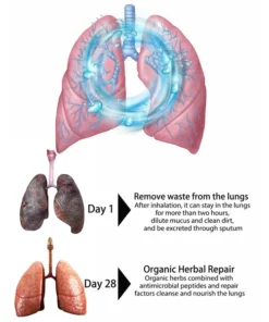 LungCare® Organic Herbal Lung Cleansing Spray