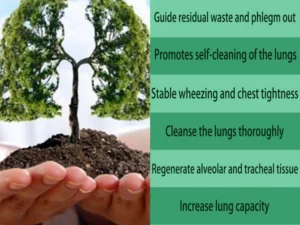 LungCare® Organic Herbal Lung Cleansing Spray
