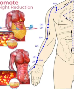 MagnePress Umbilical Acupressure Detox Navel Ring