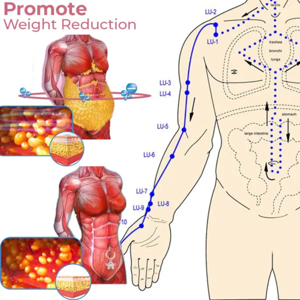 MagnePres Umbilical Acupressure Detox Navel Ring