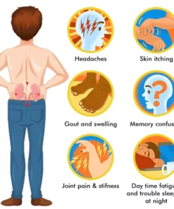 MedMax™ Kidney Care Patch
