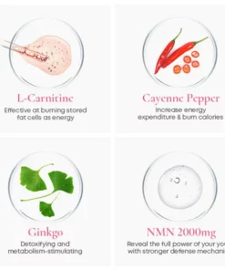 MeltsPlus FatBurner EssentialOil