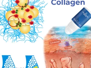 Nagasaki DermoFreeze™ Precise CoolSculpting Gel