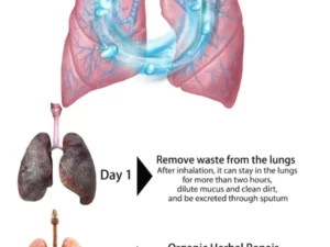 Organic Herbal Lung Cleanse Repair Spray
