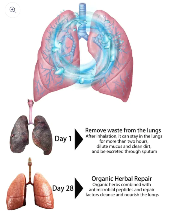 Organic Herbal Lung Cleanse Repair Spray