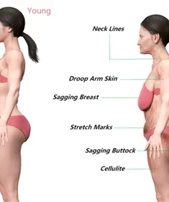 PROBeautyLady™ Collagen Lifting Body Oil