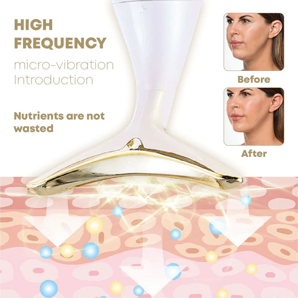 Ultrasonic FacialDing Beauty Instrument