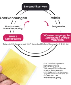 BodiFix Wiederherstellen & Straffen Oberschenkelwickel