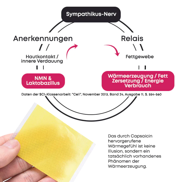 BodiFix Wiederherstellen at Straffen Oberschenkelwickel