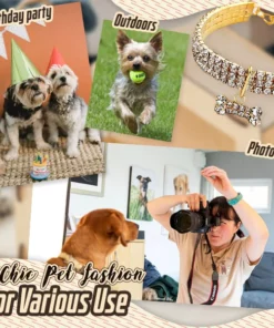 Elegant Rhinestone Pet Collar