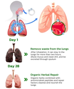 FastClean Lung Cleansing Herbal Extracts Ring