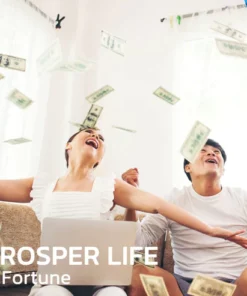 FengShui Seven Coins Insoles