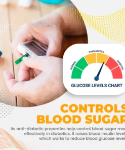 GlucoX™ Diabetes Relief Nasal Inhaler