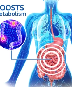 HealthDetox TightSlim Natural Extracts Ring