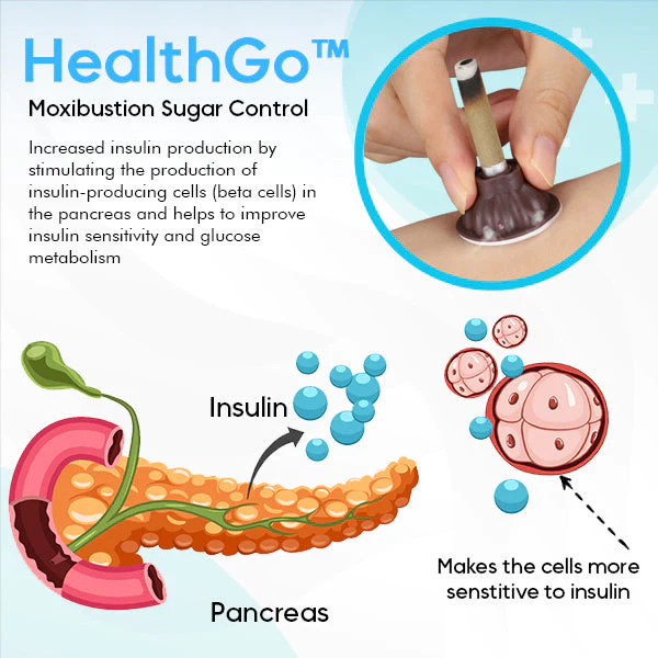 HealthGo™ ការត្រួតពិនិត្យជាតិស្ករ Moxibustion
