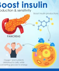 HealthMax™ Sugar Regulator Patch
