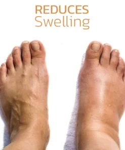 HerbsHealth Ginger Body Detoxing Pads