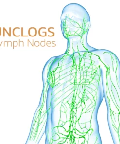 HerbsHealth Ginger Body Detoxing Pads