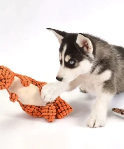 Indestructible Robust Dino