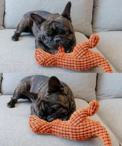 Indestructible Robust Dino