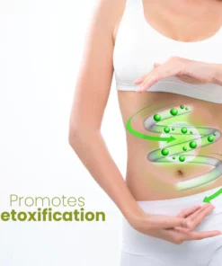 Mormuem™ HerbalFirm Cellulite Reduction Patches