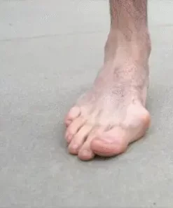 Penetrax™ Joint & Bone Therapy Cream