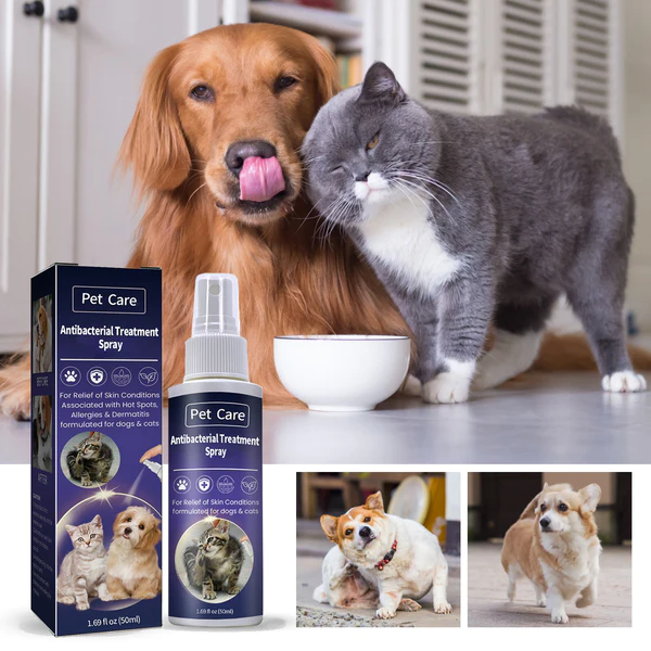 Semburan Rawatan Antibakteria Penjagaan Haiwan Kesayangan untuk Kucing dan Anjing