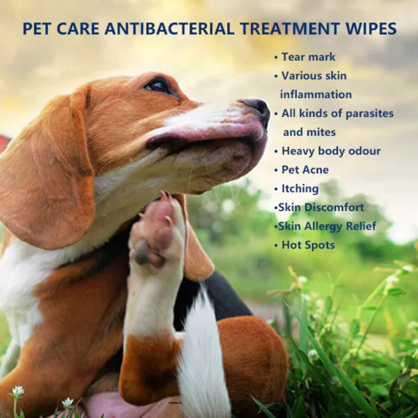 Pet Care Antibakteriell Behandlungsspray fir Kazen an Hënn