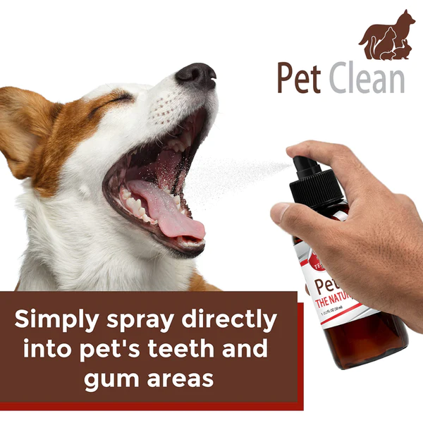 कुत्तों और बिल्लियों के लिए पेट क्लीन™ दांत सफाई स्प्रे