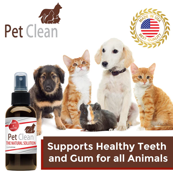 Spray de limpeza de dentes Pet Clean™ para cans e gatos