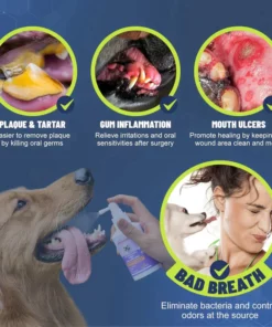 PetClean™ Spray per la pulizia dei denti per cani e gatti, elimina l'alito cattivo, agisce su tartaro e placca, senza spazzolare