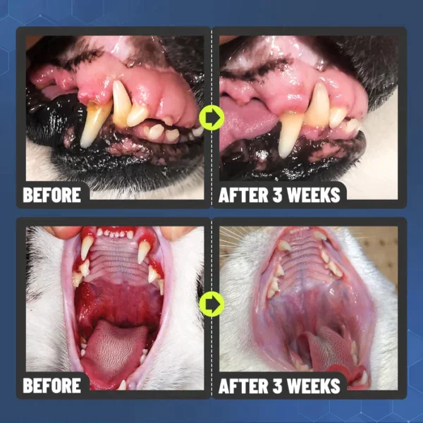 कुत्तों और बिल्लियों के लिए पेटक्लीन™ दांत साफ करने वाला स्प्रे