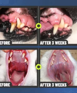 PetClean™ Teeth Cleaning Spray for Dogs & Cats