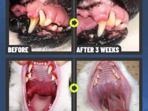 PetClean™ Teeth Cleaning Spray for Dogs & Cats