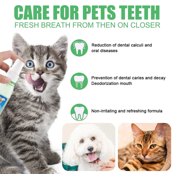 ПетФресх® спреј за чишћење зуба за псе и мачке