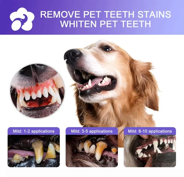 Petry® sprej za čišćenje zuba za pse i mačke