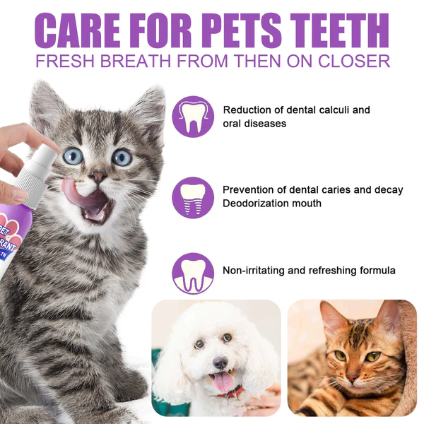 Petry® Spray per la pulizia dei denti per cani e gatti