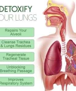 Purify HerbalLung Cleansing DetoxRings