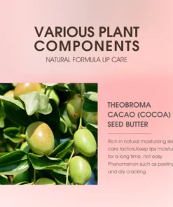 SKIN EVER™ Lip Care Volumizer